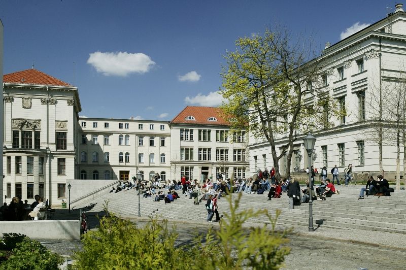 University Halle-Wittenberg